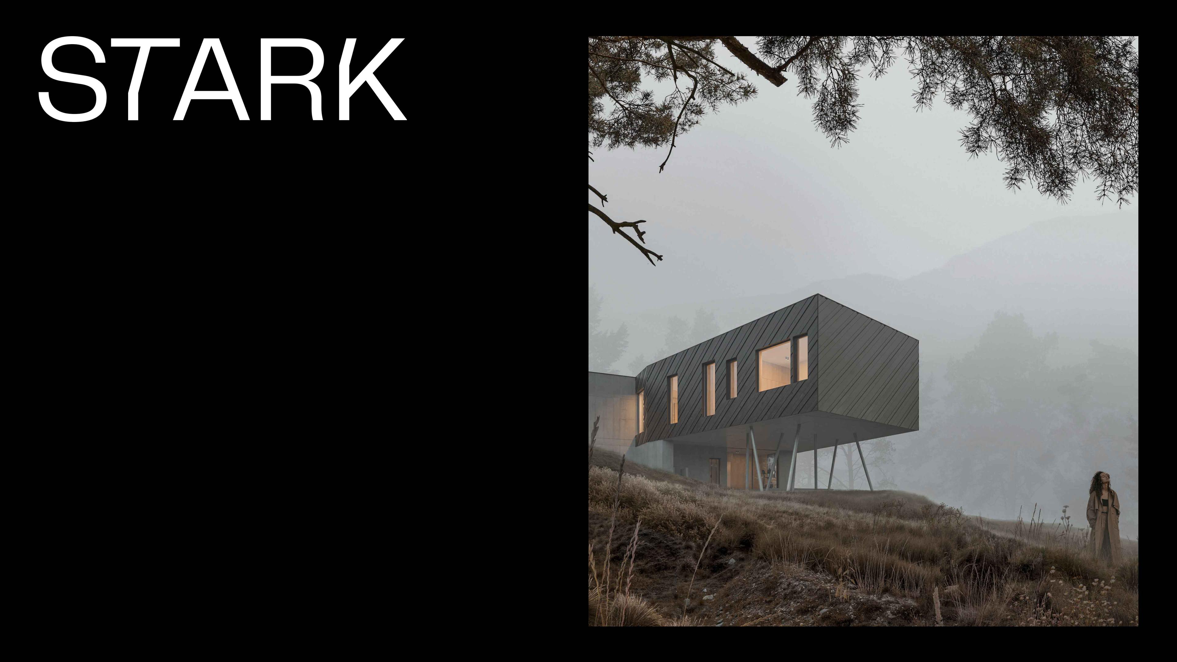 Разработка сайта для STARK