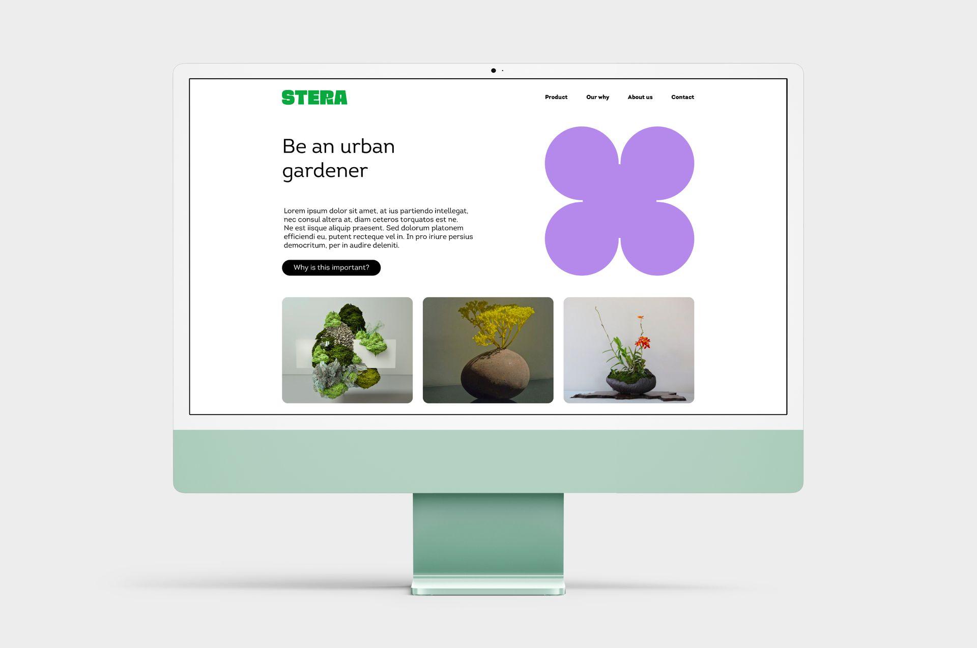 Брендинг для Stera