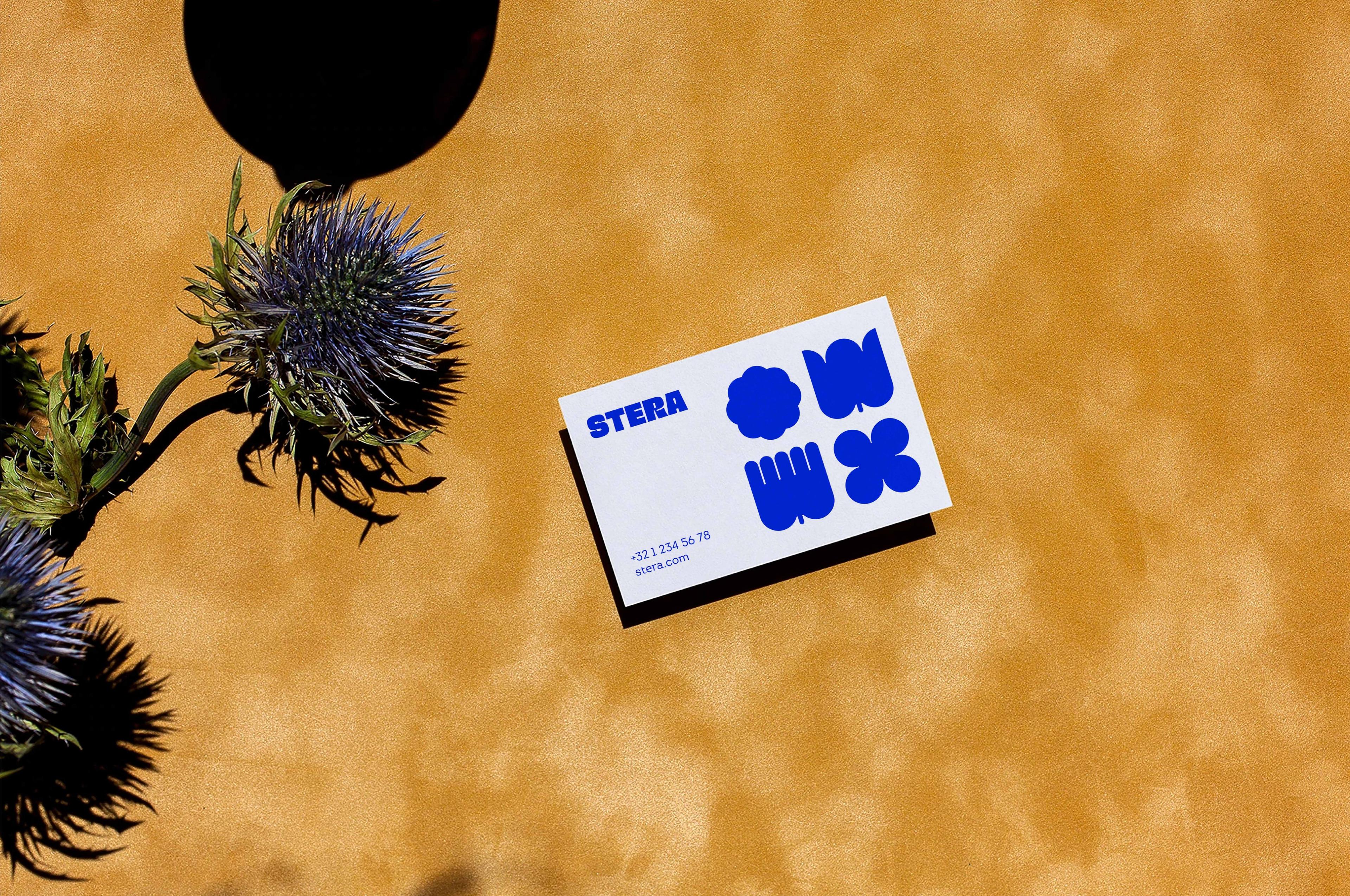 Архитектура бренда: система, которая помогает расти